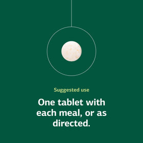 Standard Process Choline 90 Tablets on a kitchen counter