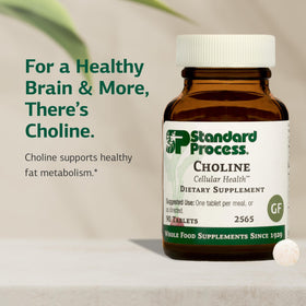 Standard Process Choline 90 Tablets packaging
