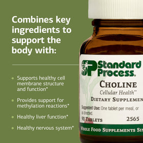 Standard Process Choline 90 Tablets tablet close-up