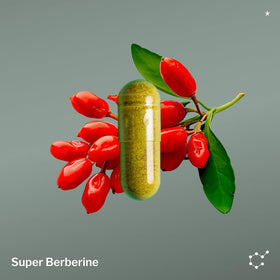 SugarMD Super Berberine Supplement ingredients list