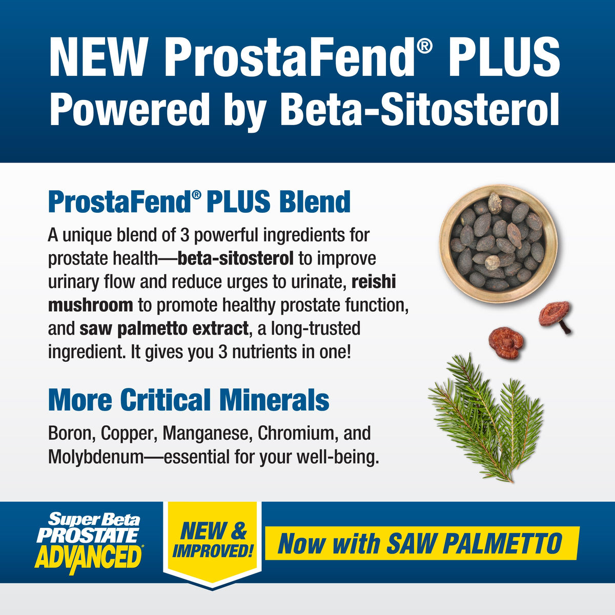 SUPER BETA PROSTATE Advanced ingredients list
