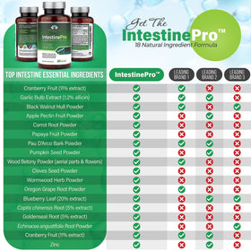 Teraputics IntestinePro bottle side view
