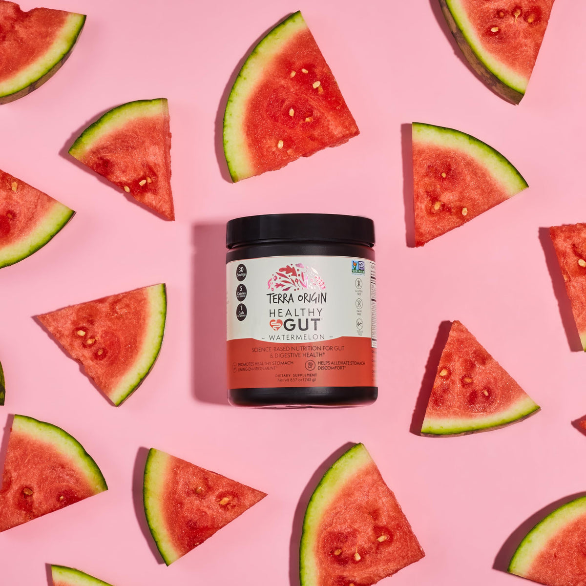 TERRA ORIGIN Healthy Gut Watermelon nutritional information