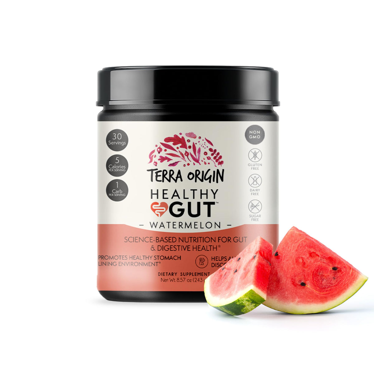 TERRA ORIGIN Healthy Gut Watermelon powder front view