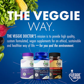 The Veggie Doctor Vegan Omega 3 Supplement capsules in a hand