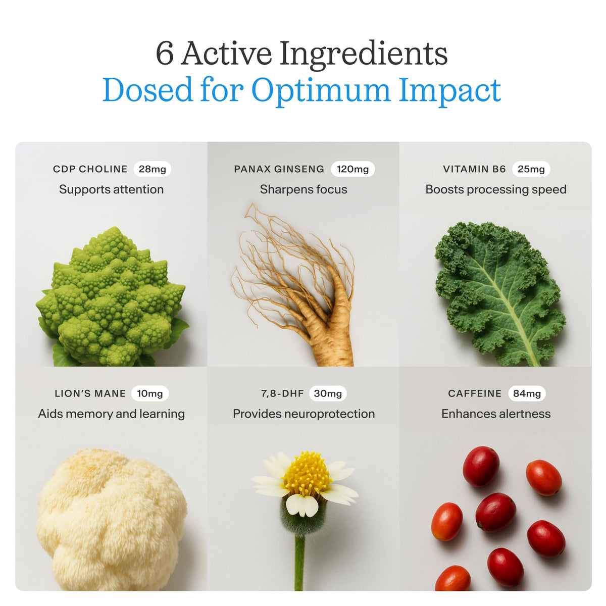 THESIS Clarity Nootropic Supplement ingredients list