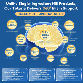 Totaria Methylene Blue 13-in-1 Brain Formula side view of bottle