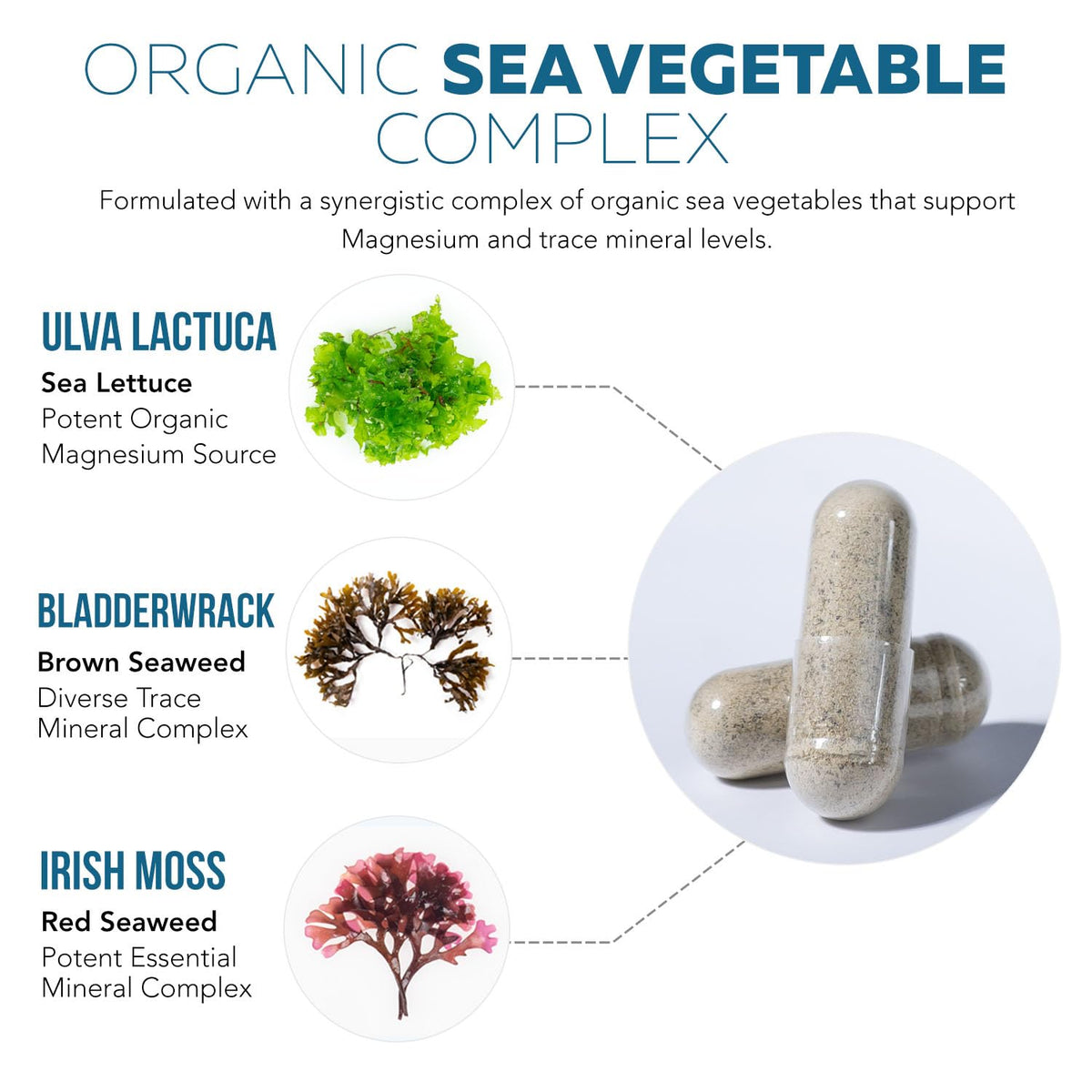 Triquetra Health Organic Whole Food Magnesium Supplement back label with ingredient list