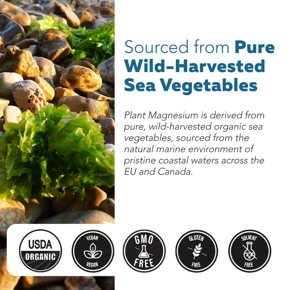Triquetra Health Organic Whole Food Magnesium Supplement with sea vegetable complex illustration