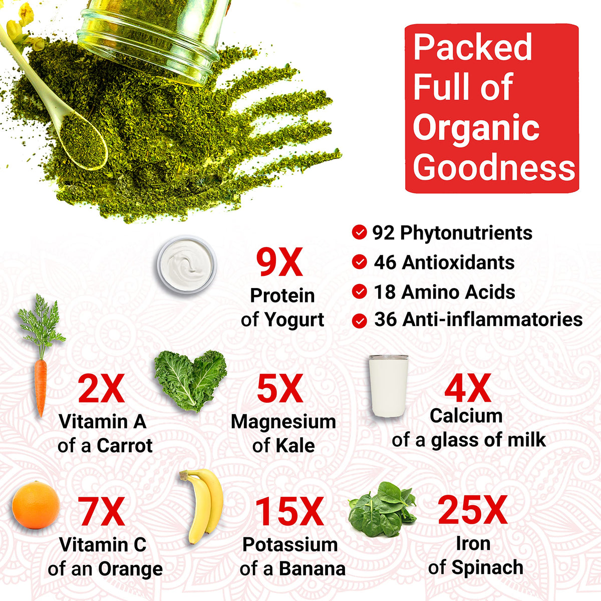 True Veda Organic Moringa Capsules in a lifestyle setting