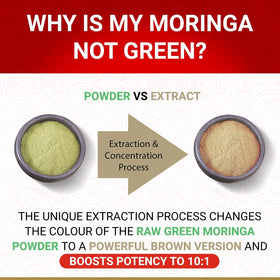 True Veda Organic Moringa Capsules open bottle showing capsules
