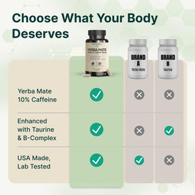 VINATURA Yerba Mate 1400mg Energy Supplement capsules in a hand