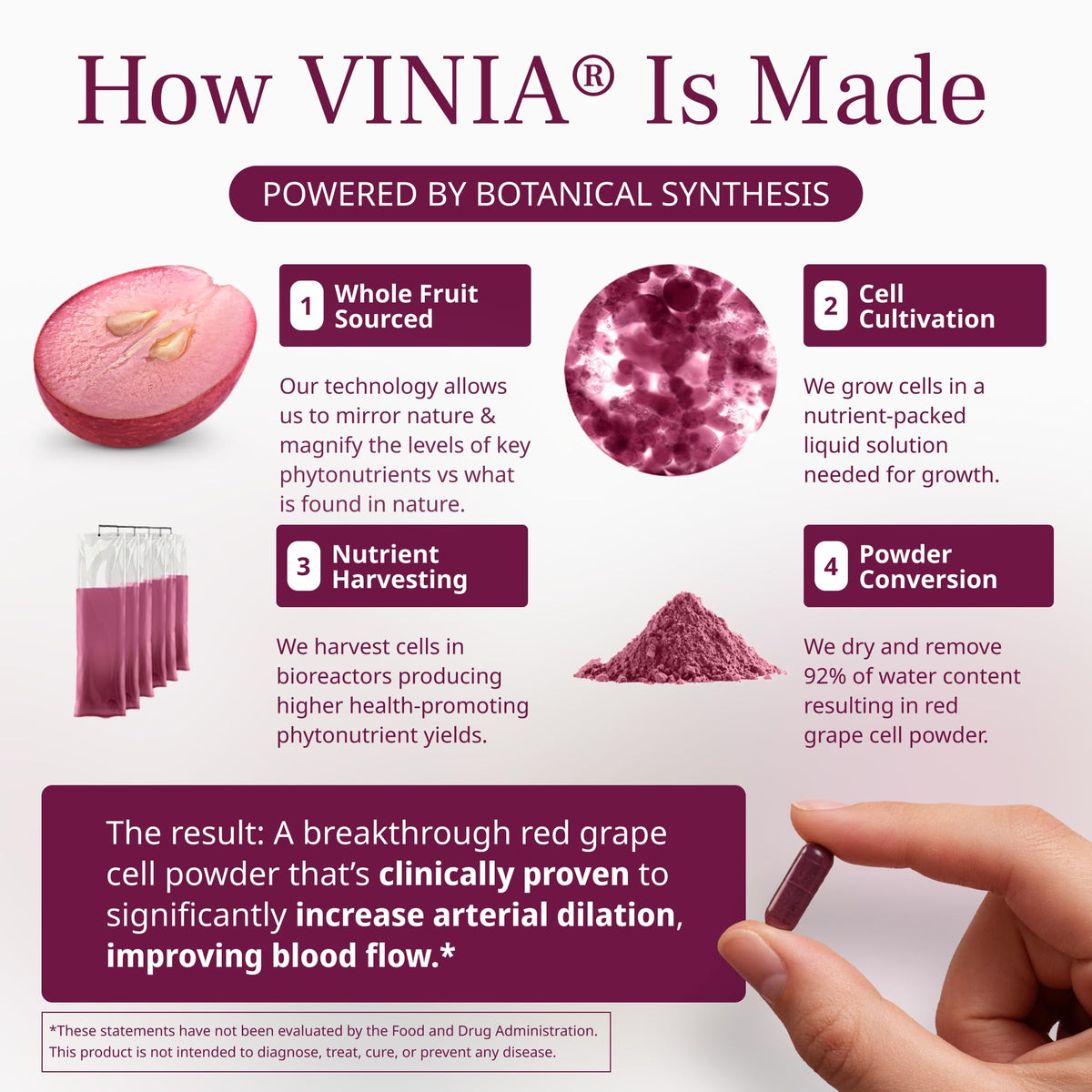 VINIA Piceid Resveratrol Capsules close-up of capsules
