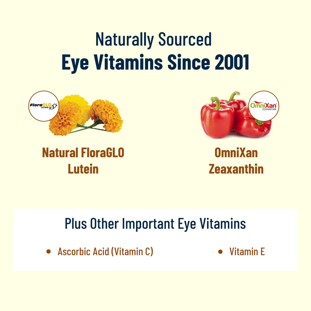 VisiVite AREDS 2 Eye Vitamins Zinc Free capsule close-up