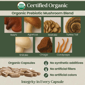 Vital Planet Organic Flora Probiotics for Women ingredients list