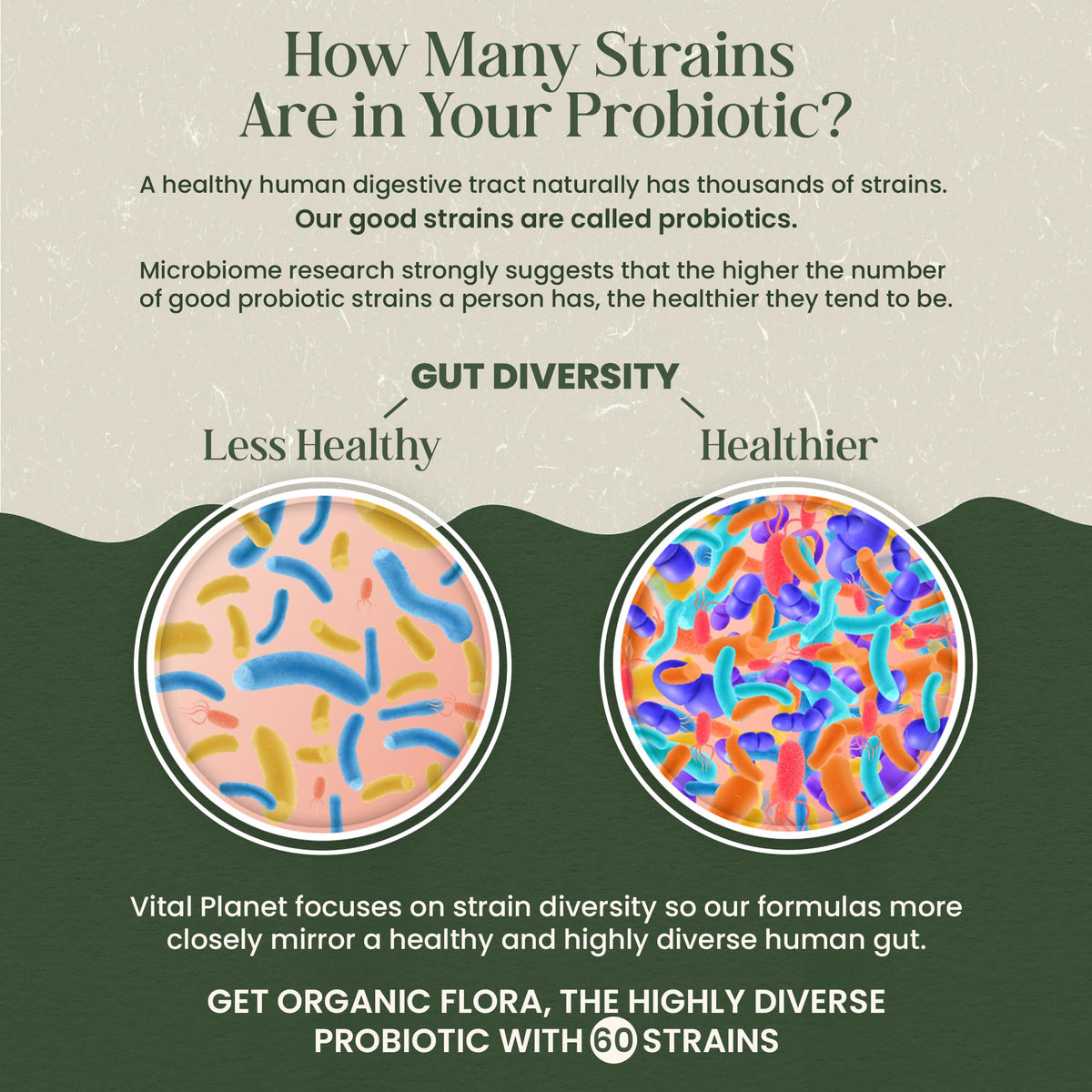 Vital Planet Organic Flora Probiotics for Women packaging