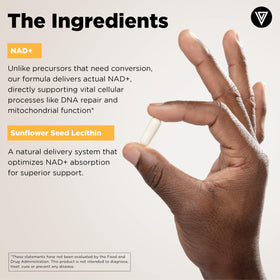 Vital Vitamins NAD+ Supplement 500mg with measuring spoon