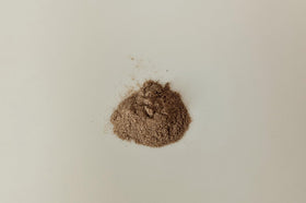 Vitalité Now! Mullein Capsules in a hand