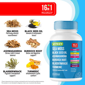 Viteey Sea Moss Capsules opened bottle showing capsules