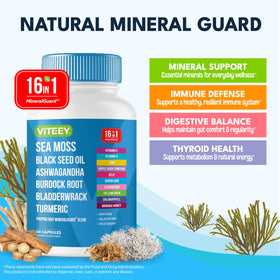 Viteey Sea Moss Capsules side view showing capsule details