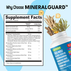 Viteey Sea Moss Capsules with black seed oil ingredients list