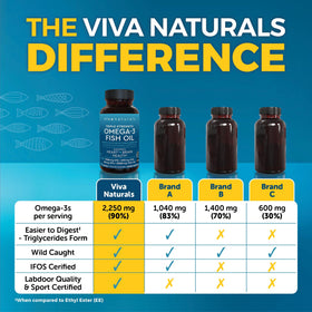 Viva Naturals Omega 3 Fish Oil softgels close-up