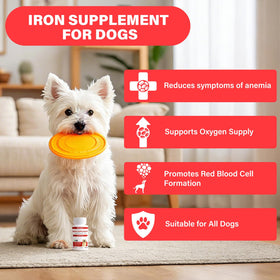 VivaElixir Iron Supplement for Dogs chewable tablet close-up