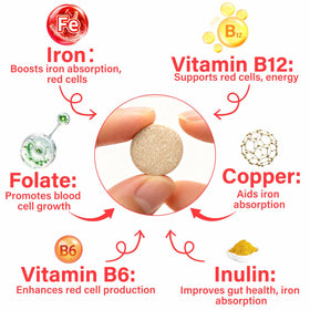 VivaElixir Iron Supplement for Dogs ingredients list