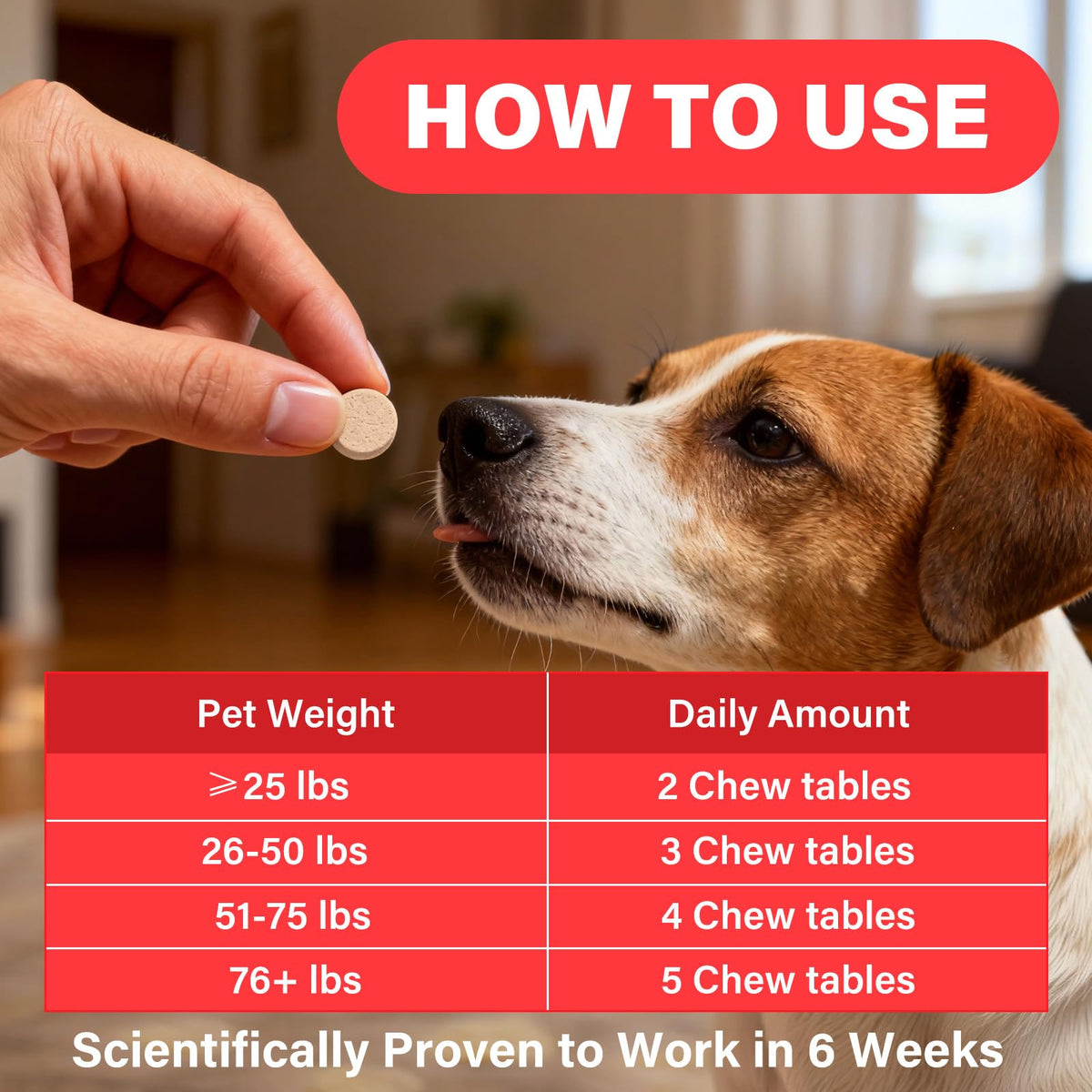 VivaElixir Iron Supplement for Dogs on a wooden table