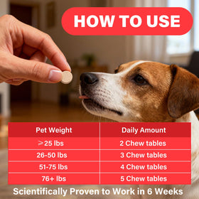 VivaElixir Iron Supplement for Dogs on a wooden table