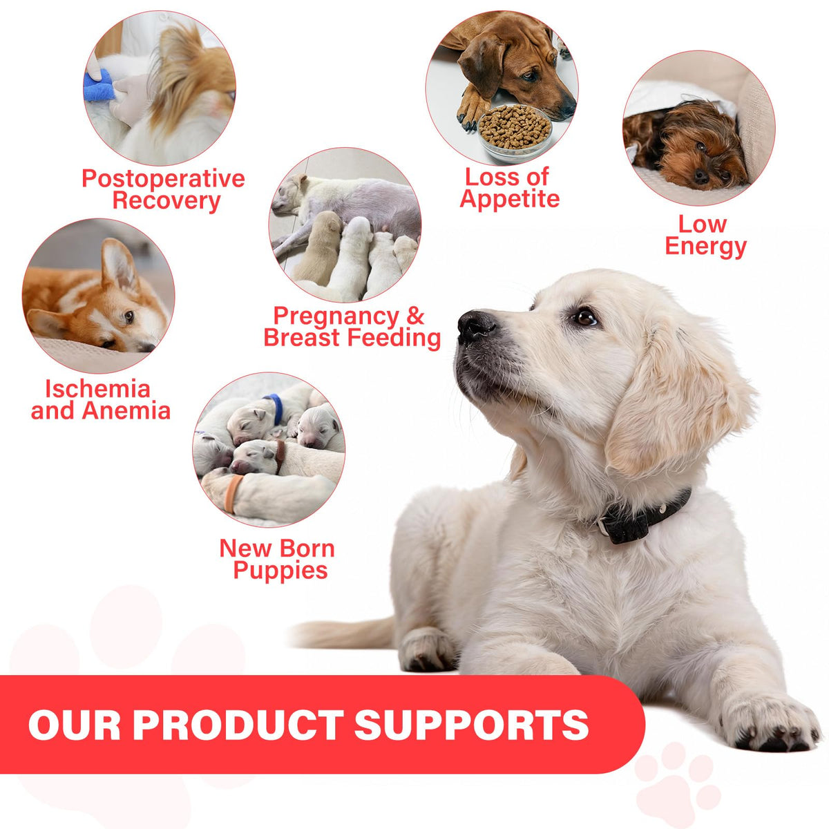 VivaElixir Iron Supplement for Dogs packaging side view