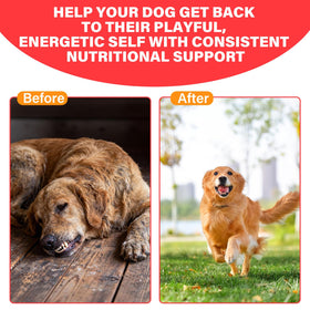 VivaElixir Iron Supplement for Dogs vet-formulated label
