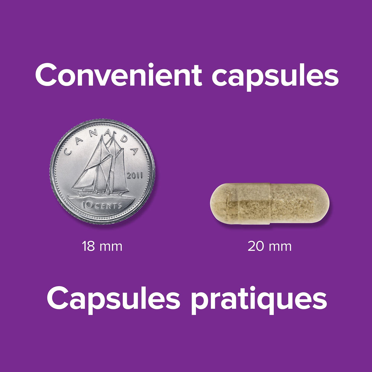 Webber Naturals Gentle Iron Supplement on a kitchen counter