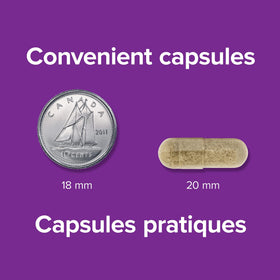 Webber Naturals Gentle Iron Supplement on a kitchen counter