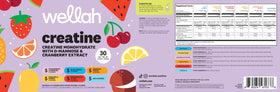Wellah Creatine stick pack showing watermelon slush flavour