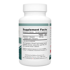 Wellness Resources Tributyrin Plus 800mg supplement side view