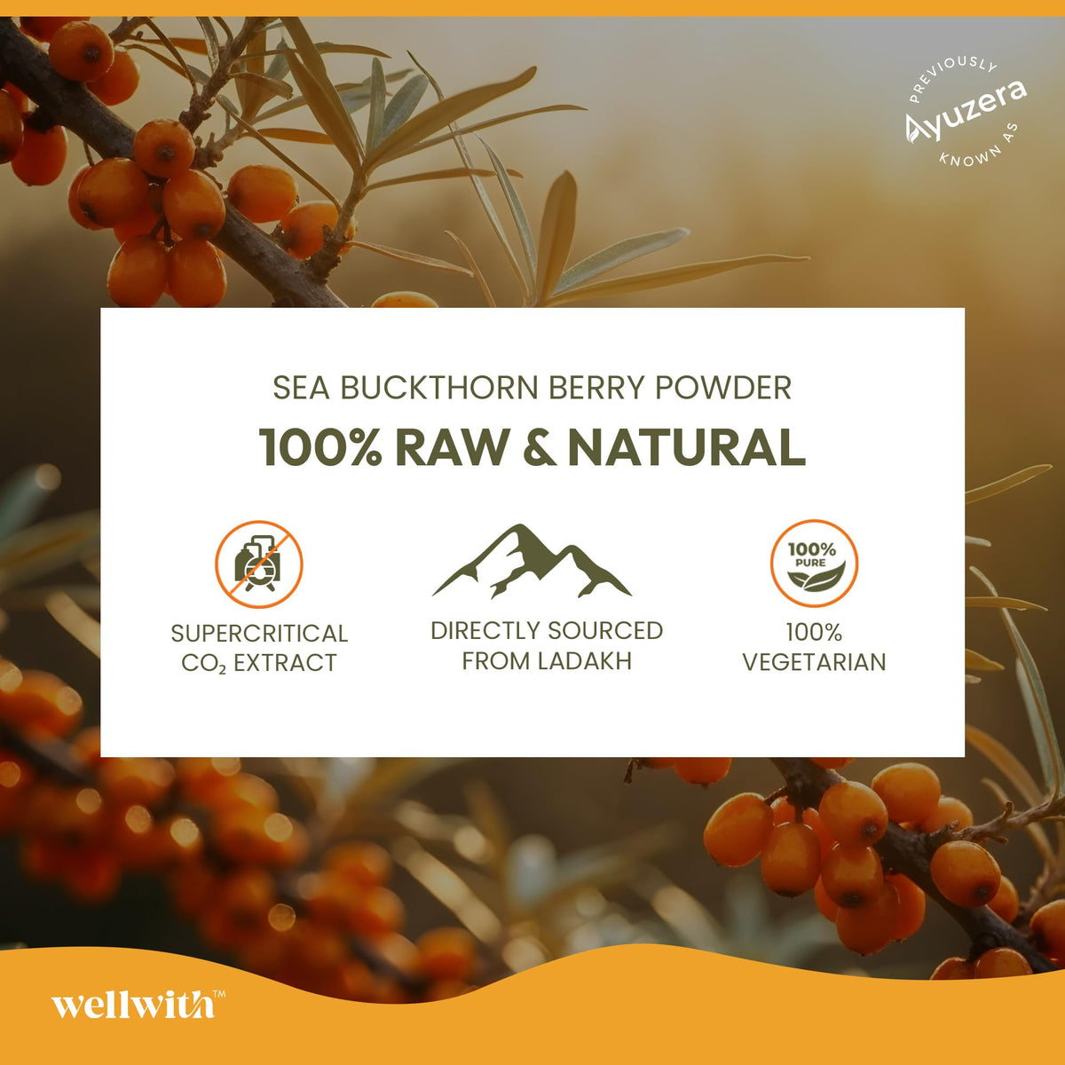 Wellwith Sea Buckthorn Berry Oil 500mg softgels side view