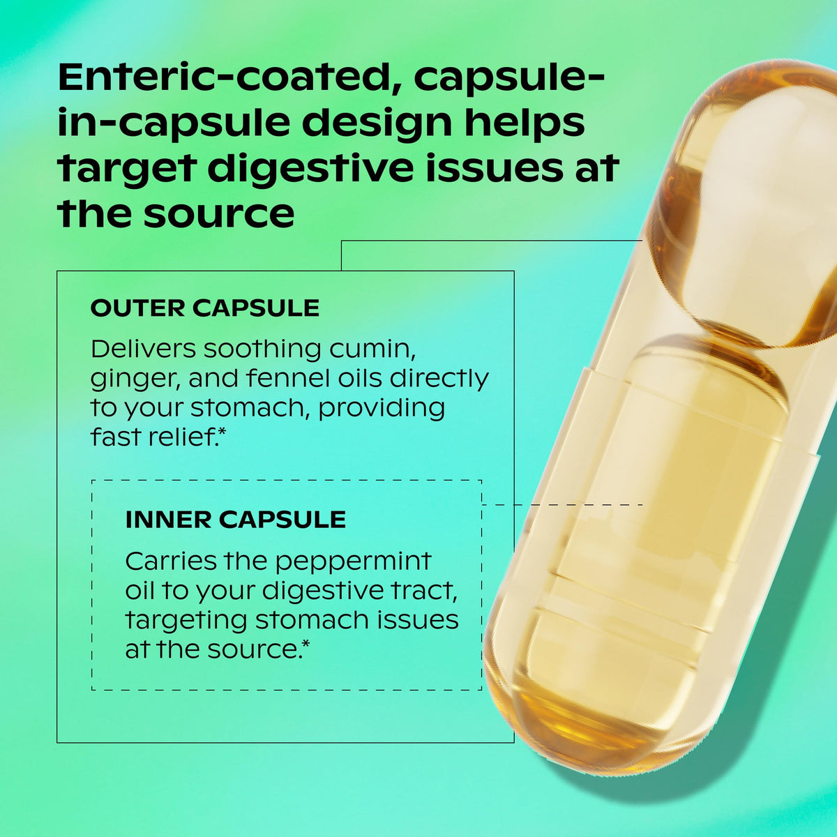 wholier Peppermint Stomach Soother capsules in hand