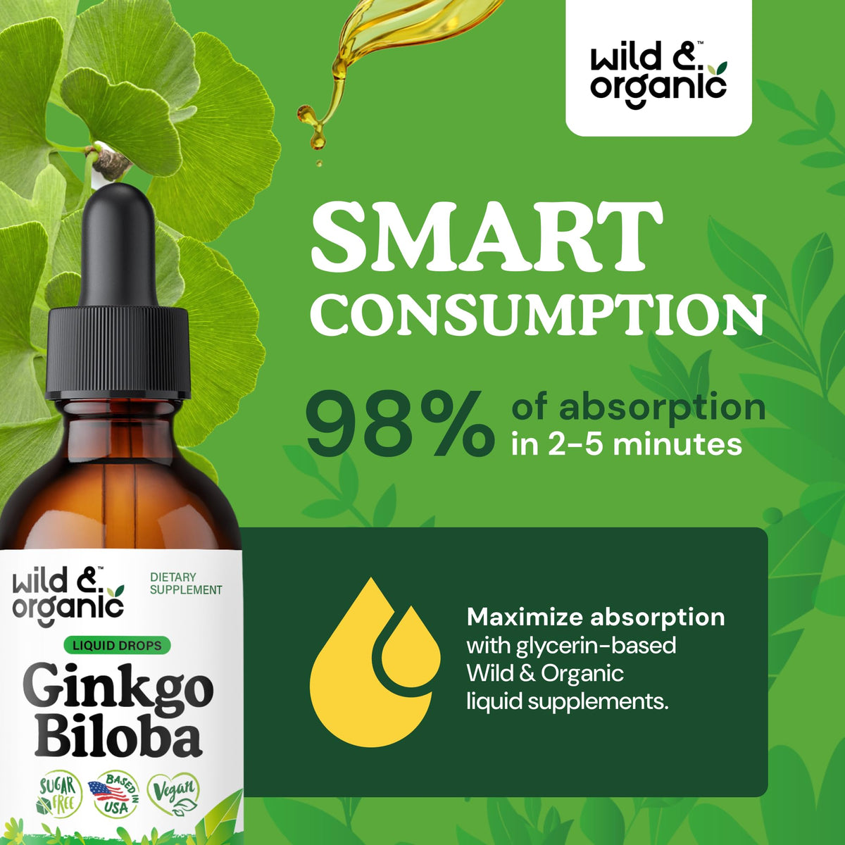 Wild & Organic Ginkgo Biloba Tincture 120 mg per serving