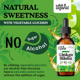 Wild & Organic Ginkgo Biloba Tincture lifestyle shot