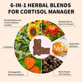 YXSW Cortisol Gummies ingredients list on back